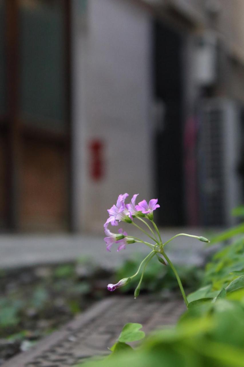 Chiyoda Inn โตเกียว ภายนอก รูปภาพ